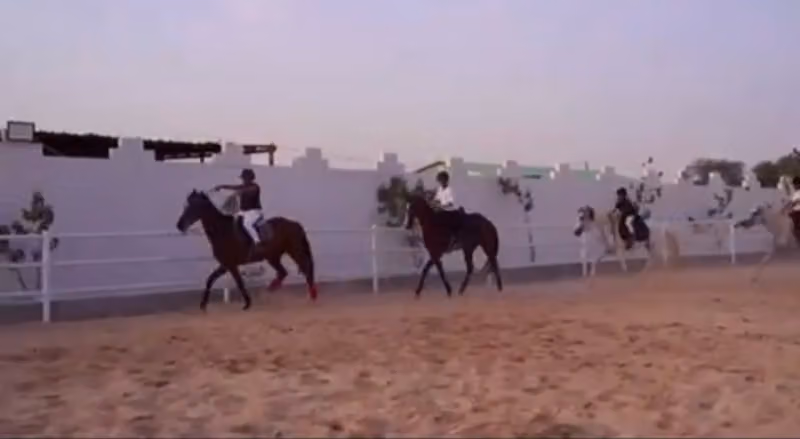 مربط فخر لتعليم الفروسية