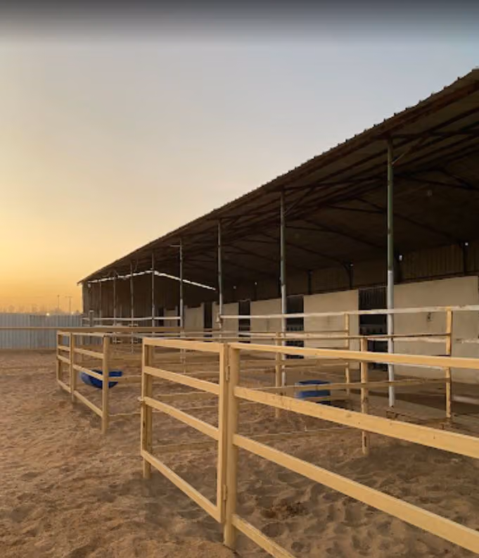مربط مهر الجزيرة