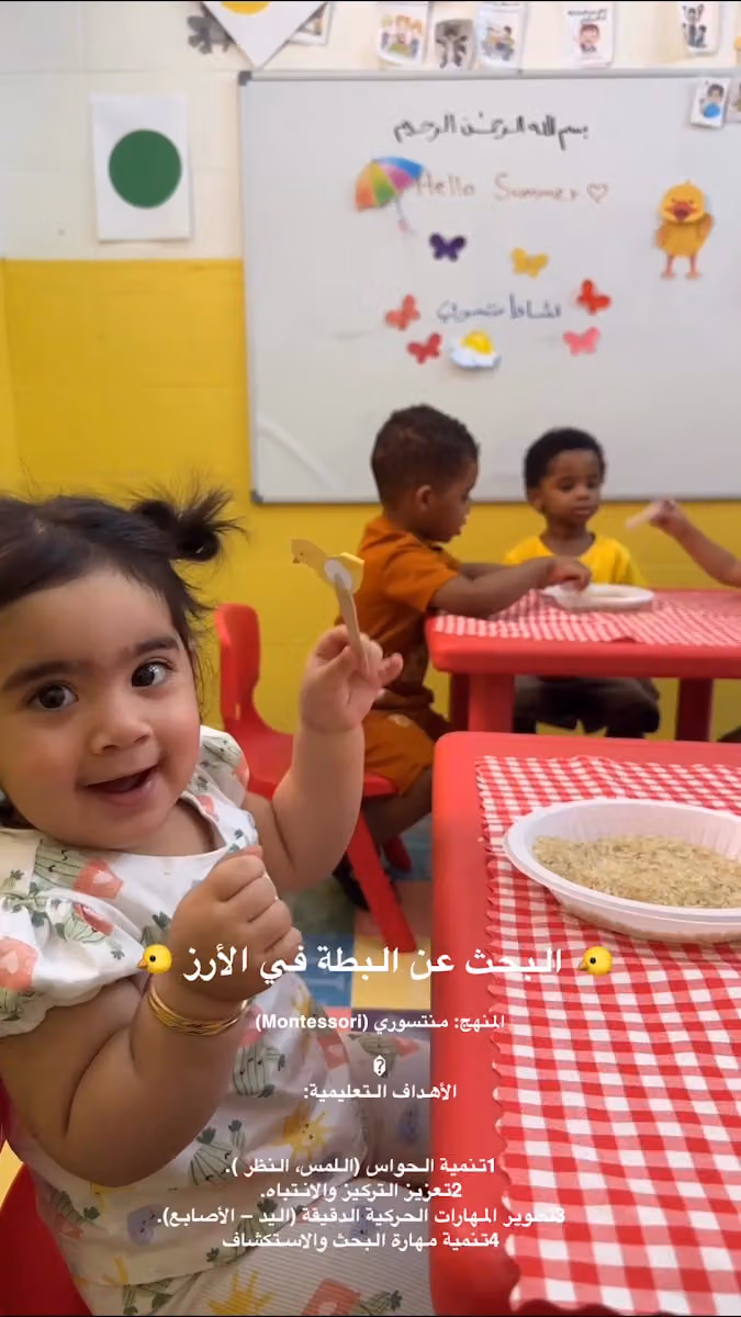 مركز فراشات صغيرة
