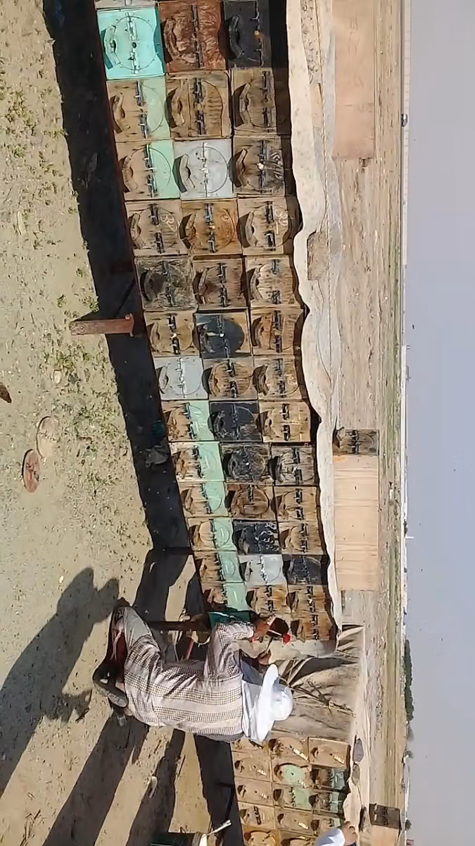 مركز جناين القيروان