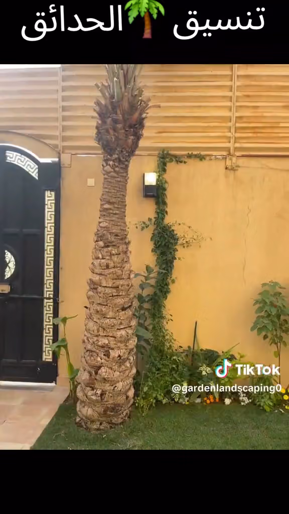 مركز لمسه صيانة اودي Audi service