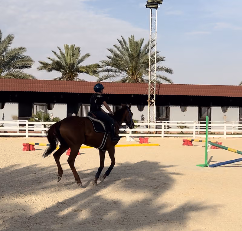 Medhal Equestrian Centre