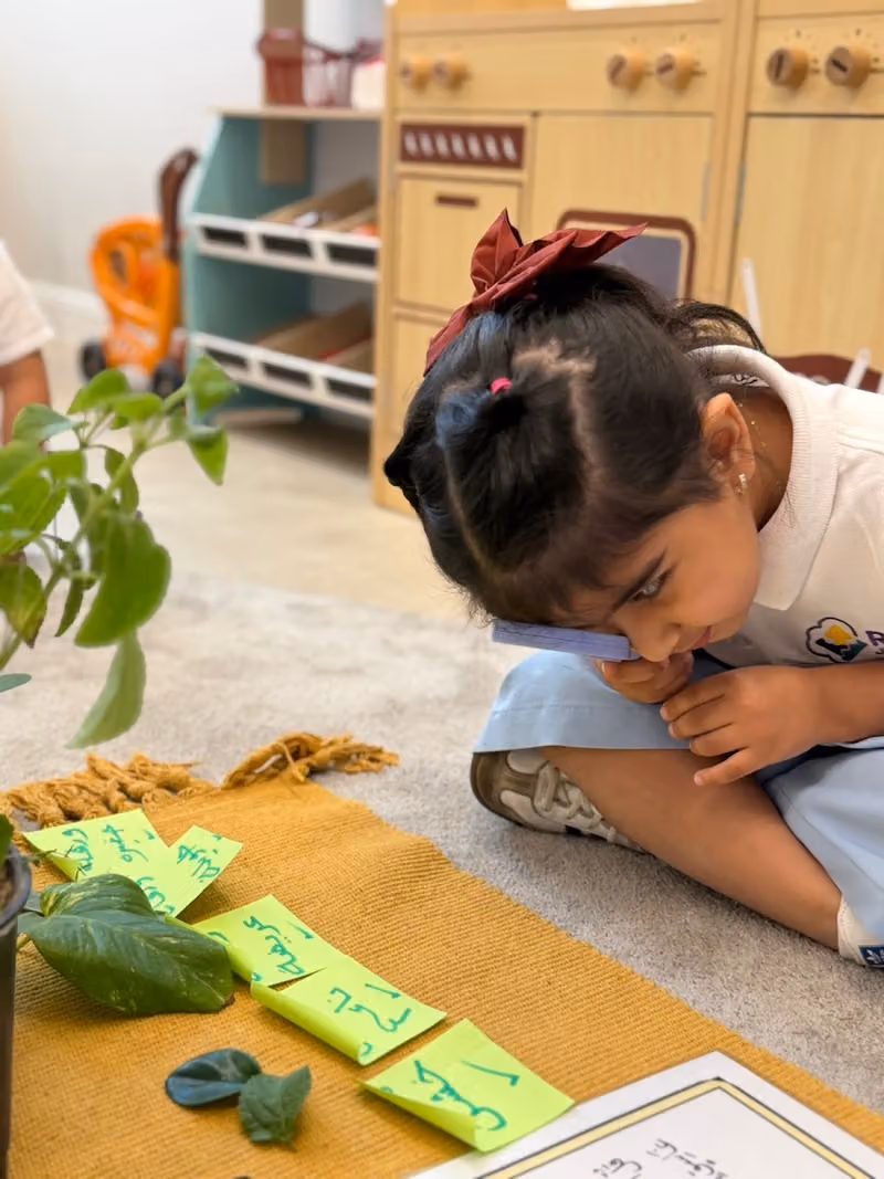 مركز رزن | RZN JUNIOR