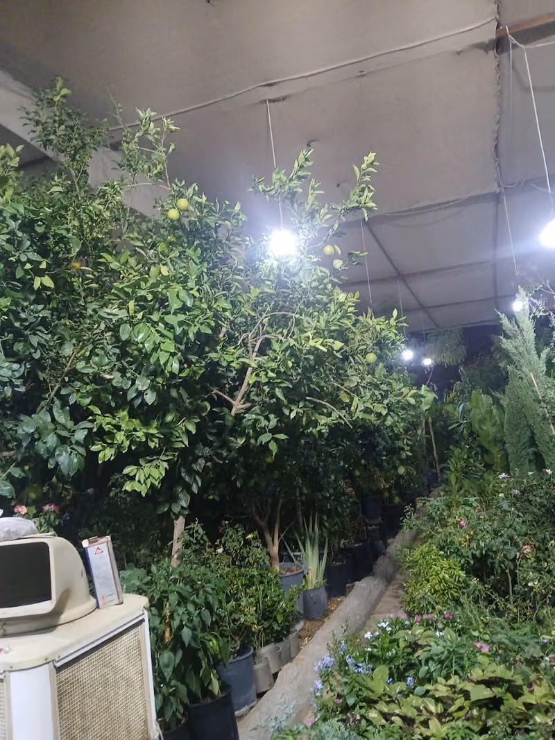 مشاتل الخير