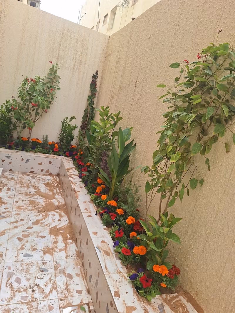 مشاتل نباتات الزراعية
