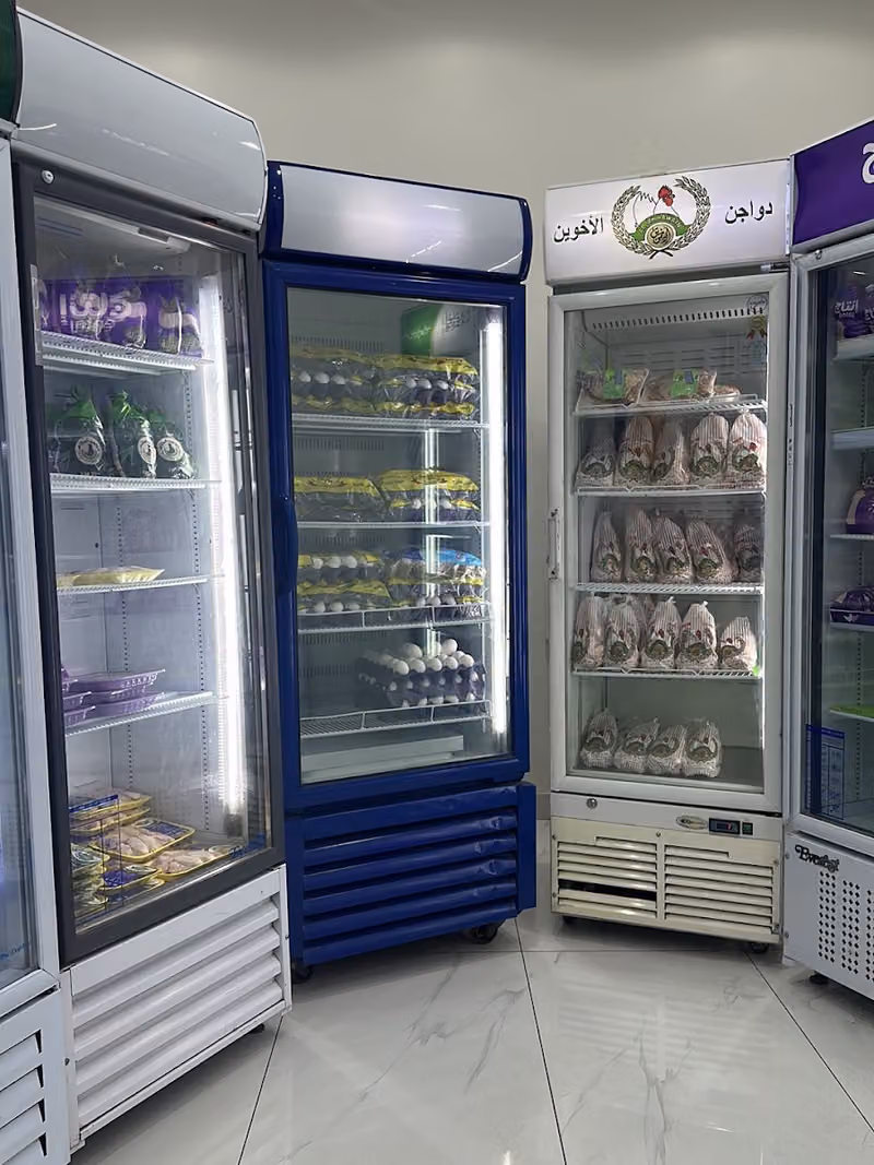 مشبب الصغير الدواجن