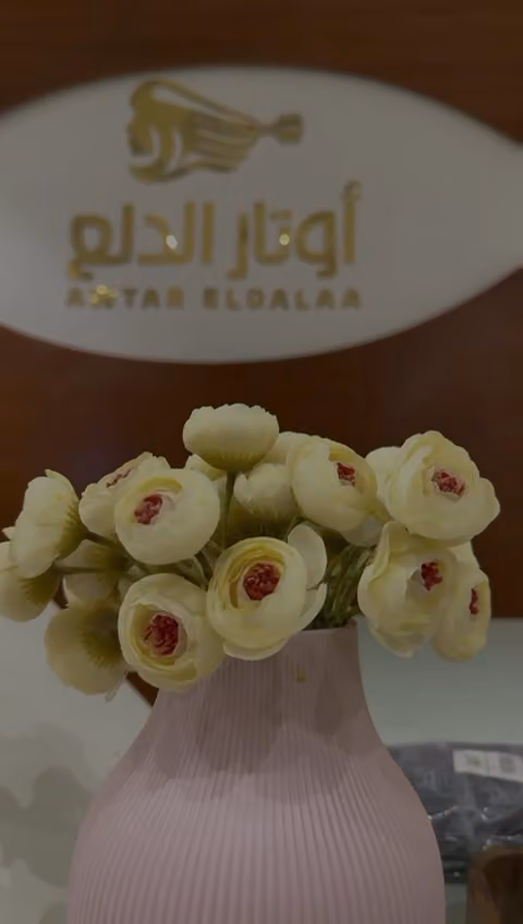 مشغل اوتار الدلع