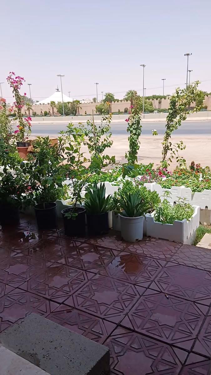 مشتل ابو فرحه لبيع النباتات