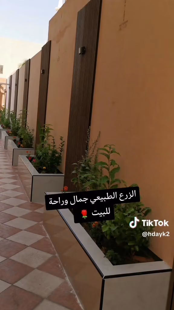 مشتل ابو صابر