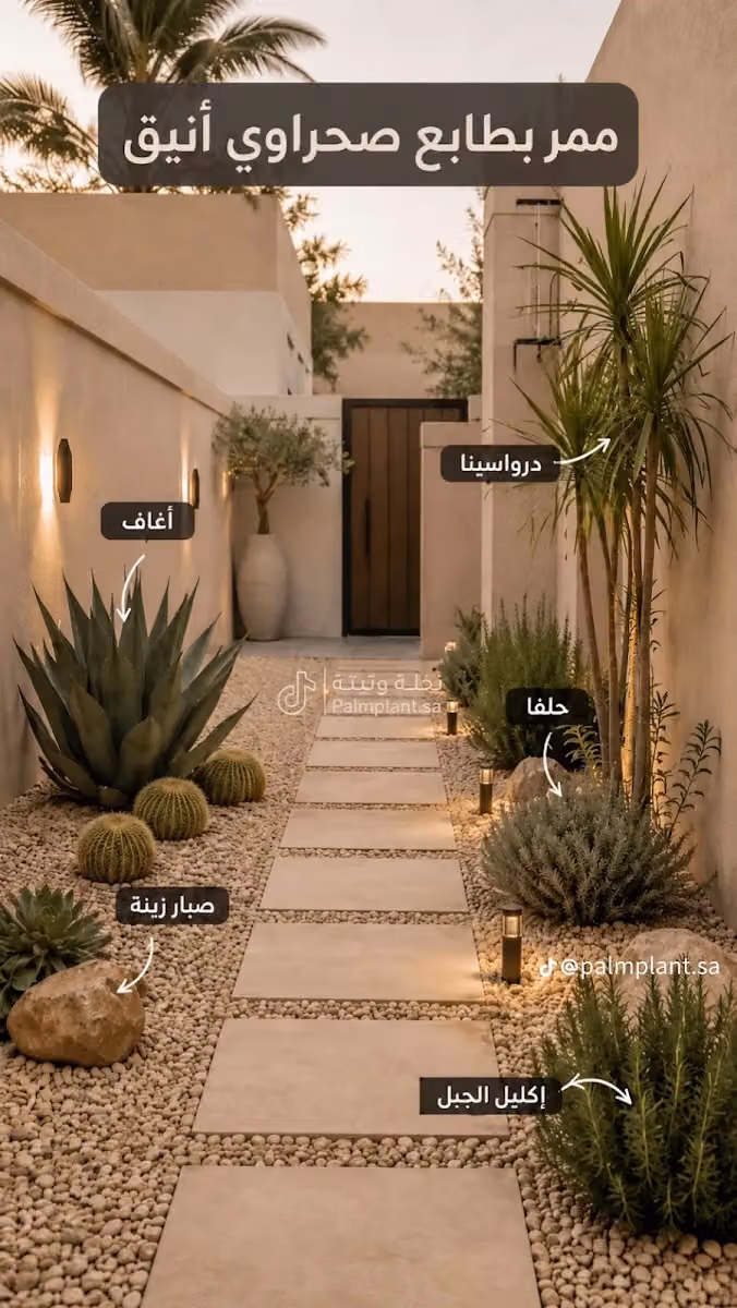 مشتل ابو صابر