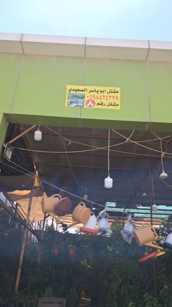 مشتل ابو ياسر الصعيدى