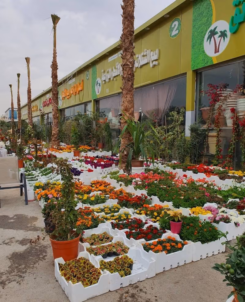 مشتل علاء تنسيق حدائق