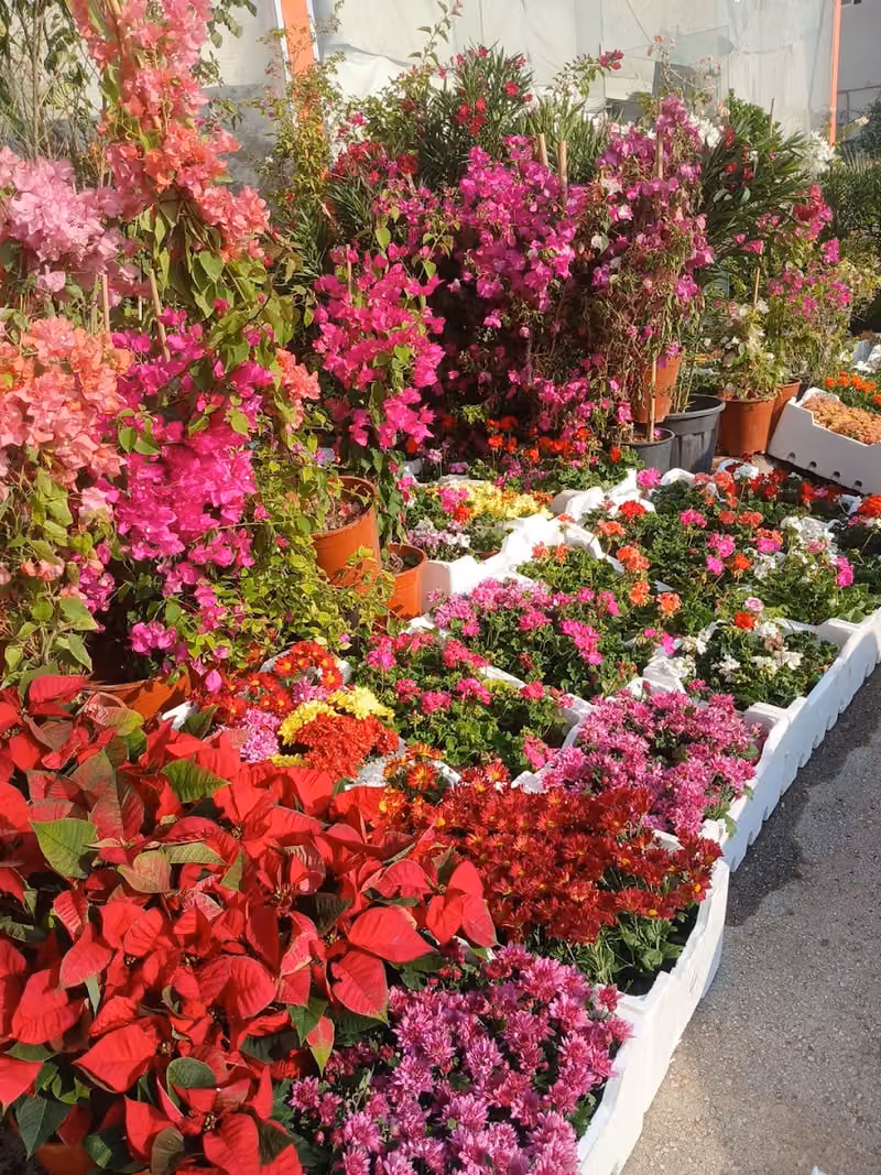 مشتل المروج والأنهار