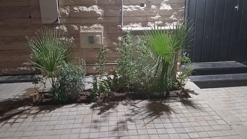 مشتل الواحه الخضراء لتنسيق الحدائق