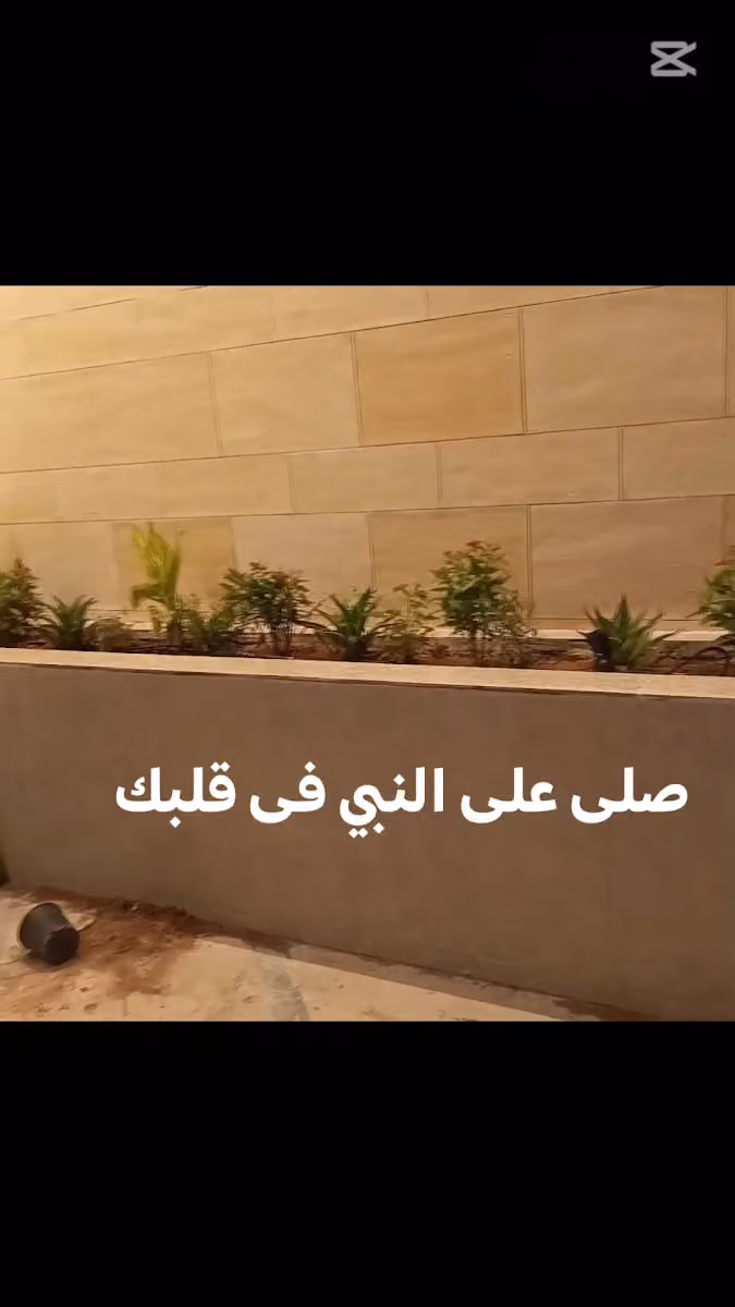 مشتل علي الصعيدى