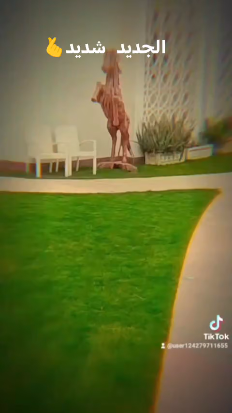 مشتل علي الصعيدى