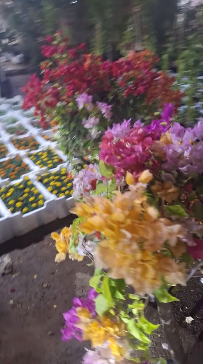 مشتل حدائق العندليب