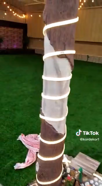 مشتل حدائق الزيتون