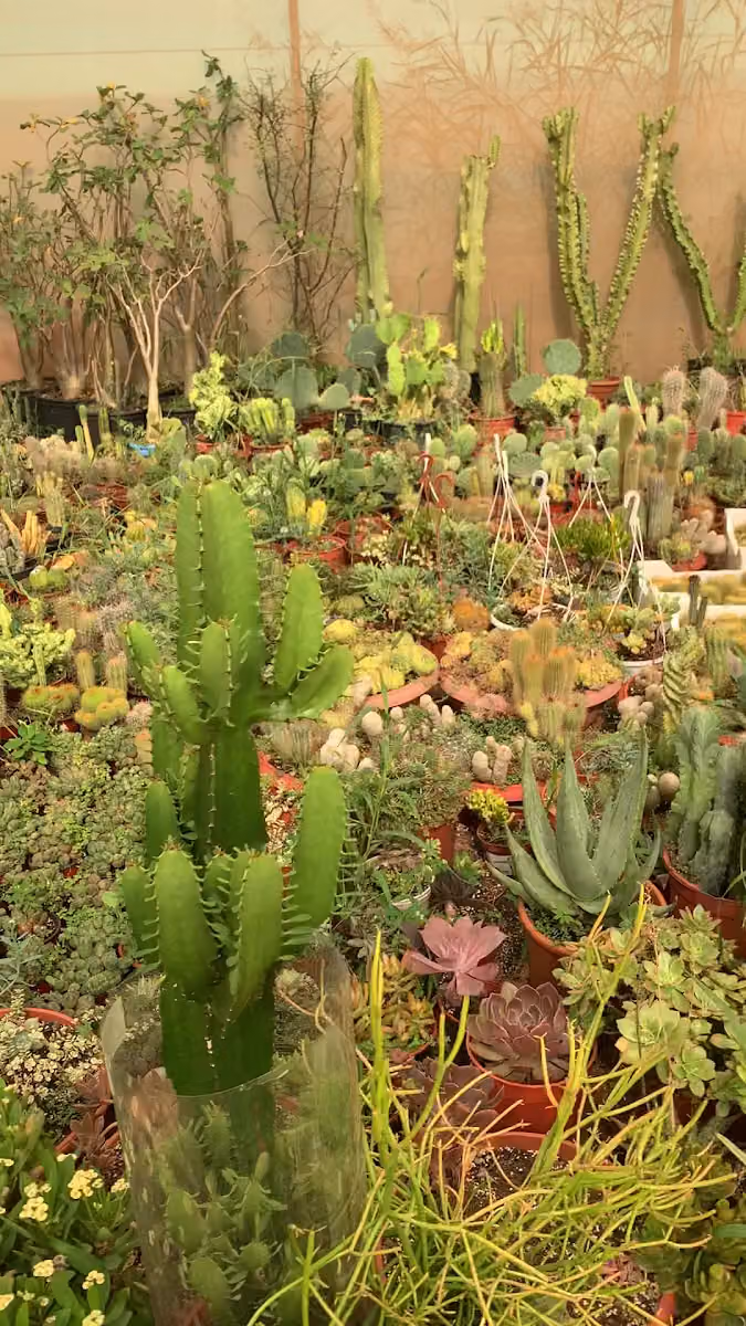 مشتل مهجابين mahjabeen garden center