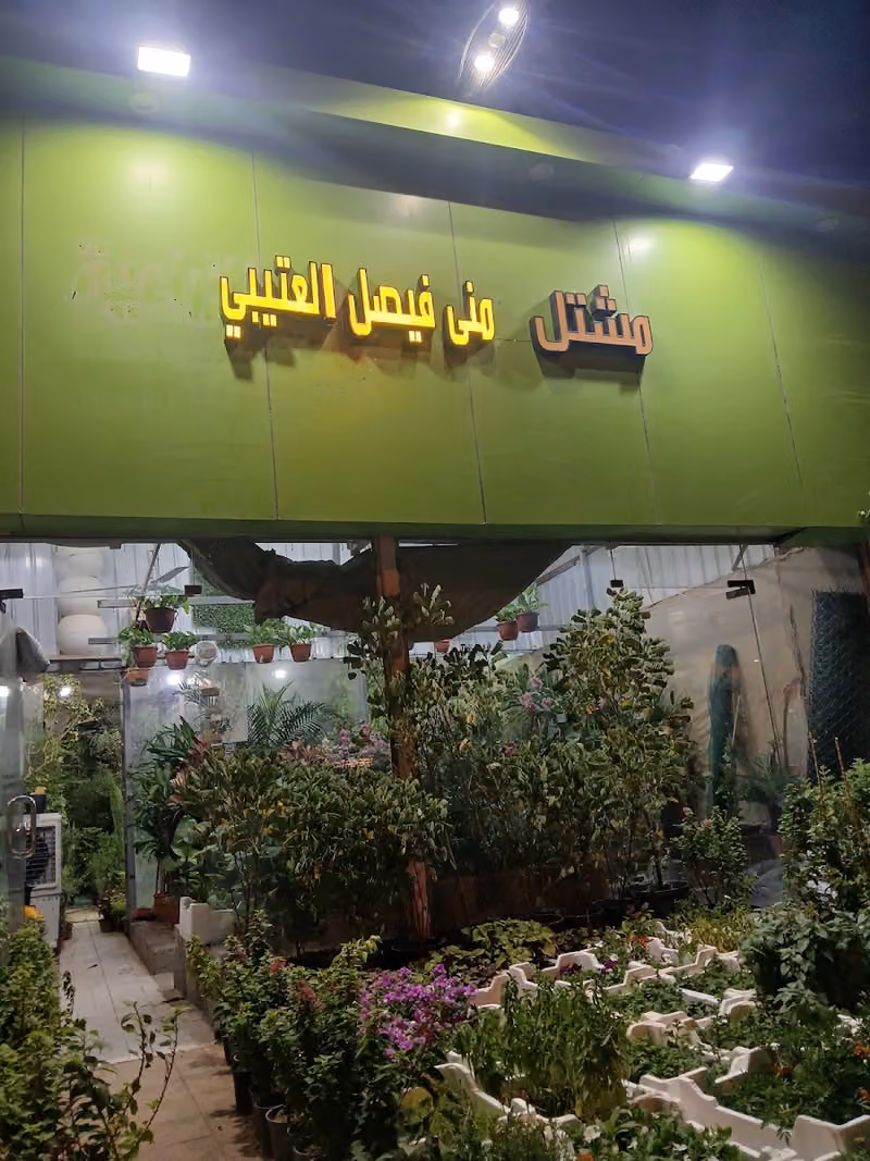 مشتل منى فيصل العتيبى