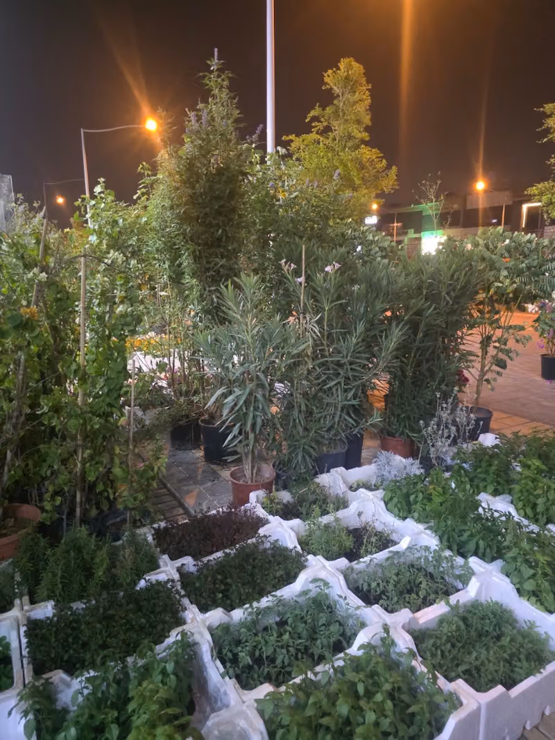 مشتل الزراعي للنباتات الطبيعيه