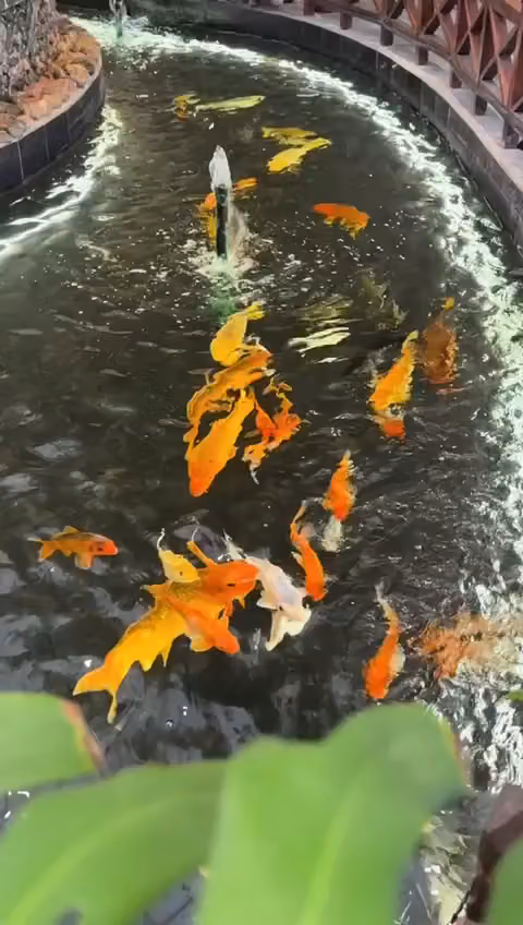 Natural Life