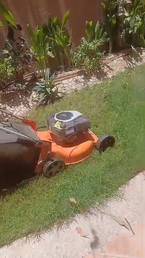 مشتل يونس للزراعه