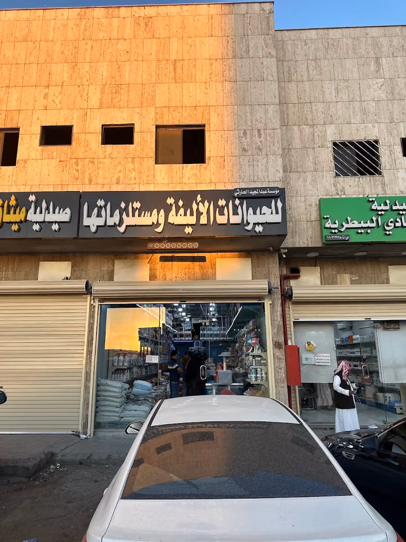 مستلزمات قطط بااقل الاسعار العزيزيةسوق الطيوار والحمام