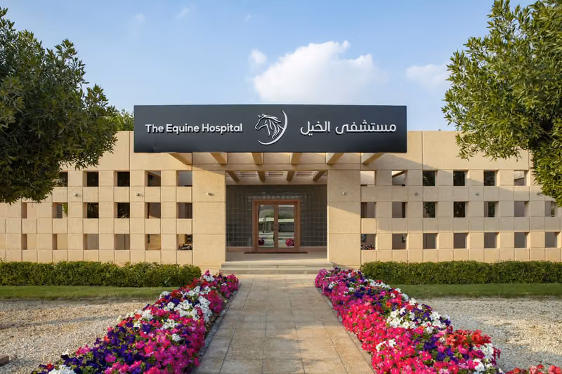 مستشفى الخيل - The Equine Hospital