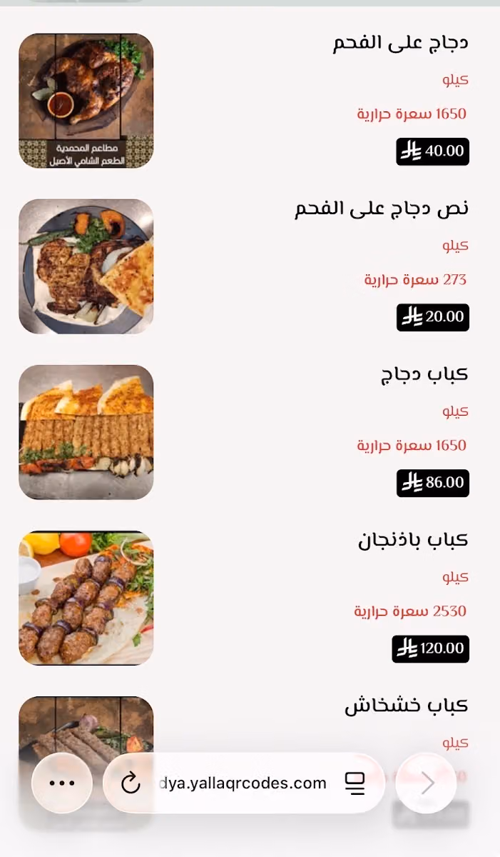 مطاعم المحمدية فرع ٣