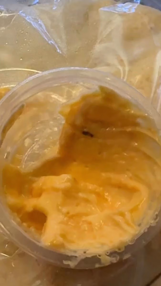 مطاعم بيت النافوره
