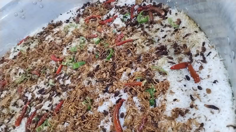 مطاعم مطابخ نجم حضرموت