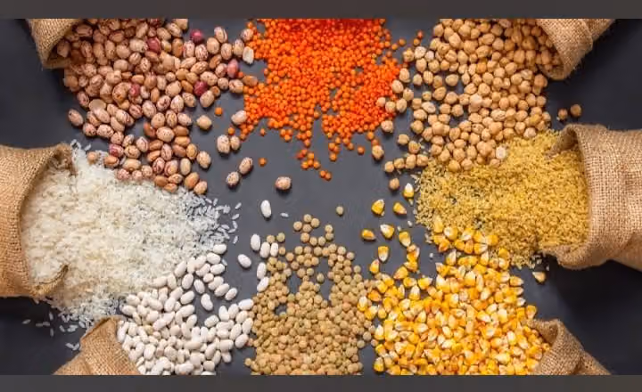 مطاحن طرح البركة للحبوب