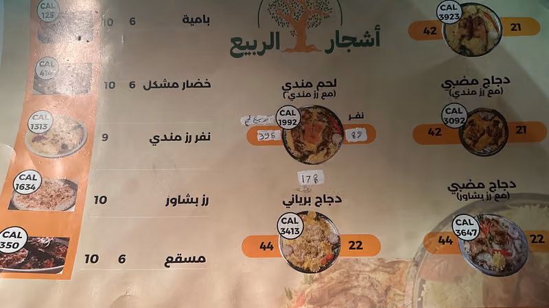 مطعم الربيع للمندي