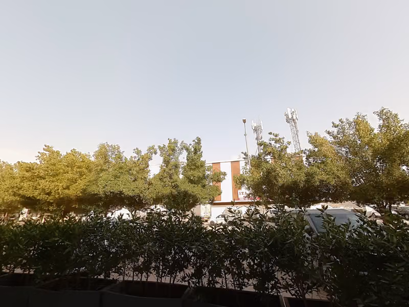 مطعم ضحى