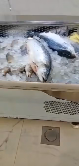 مطعم لطيفة للأسماك