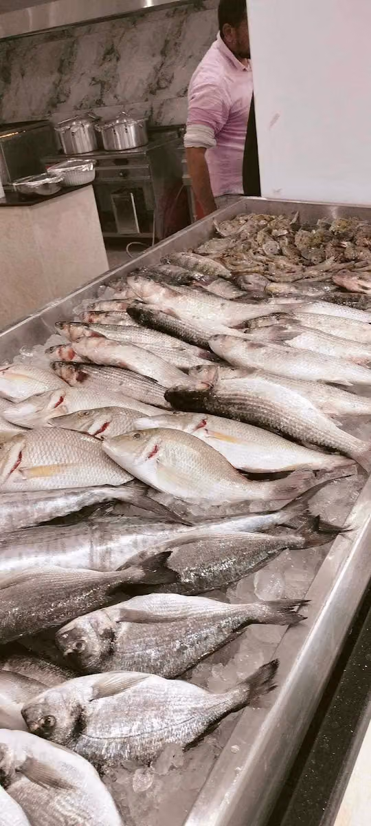 مطعم صياد القرش