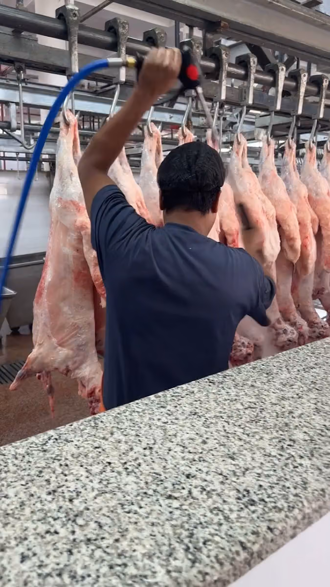 مطبخ قصر المراسيم