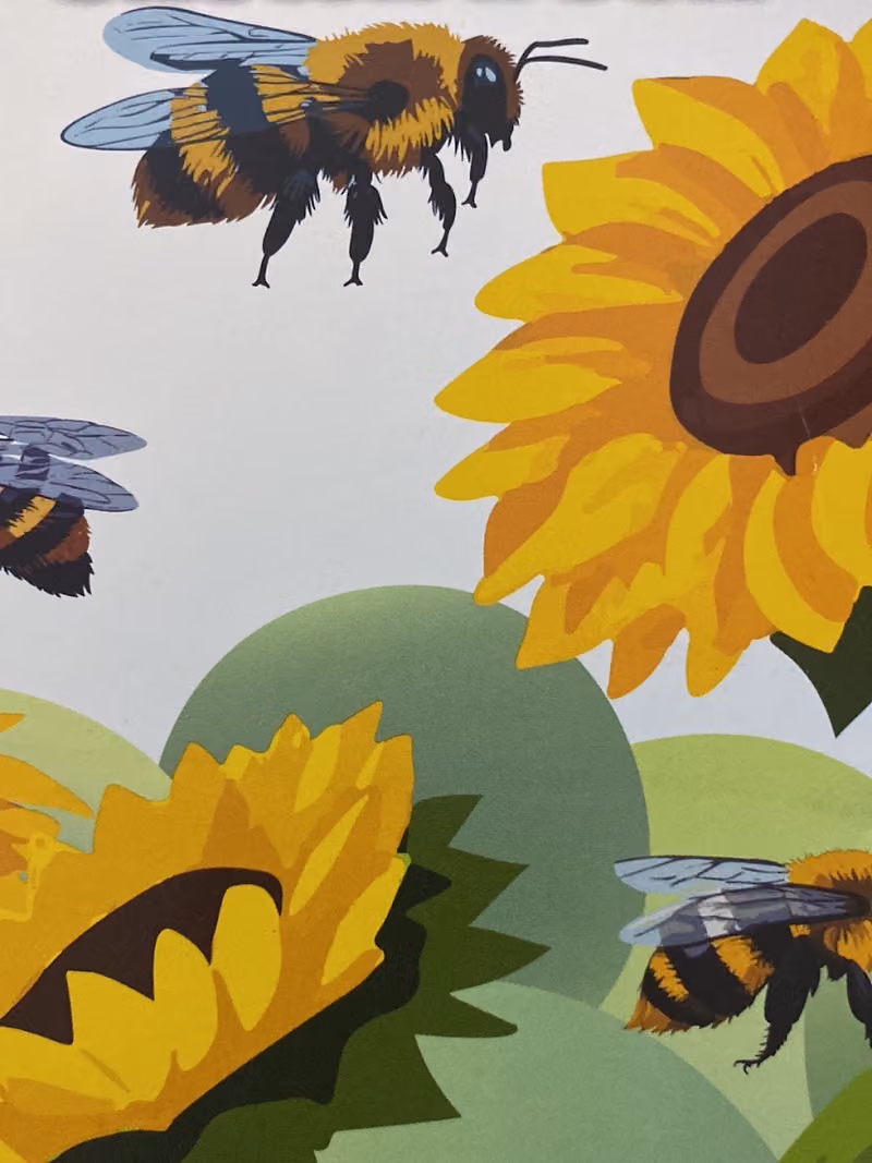 متجر آبل كلوب