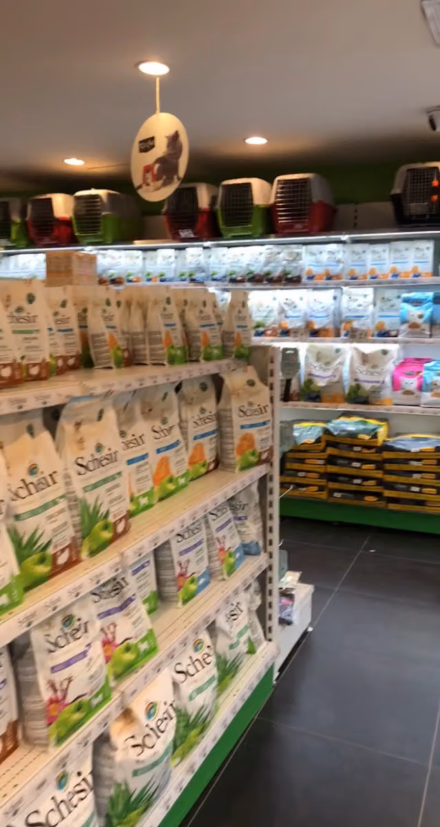 متجر أليف
