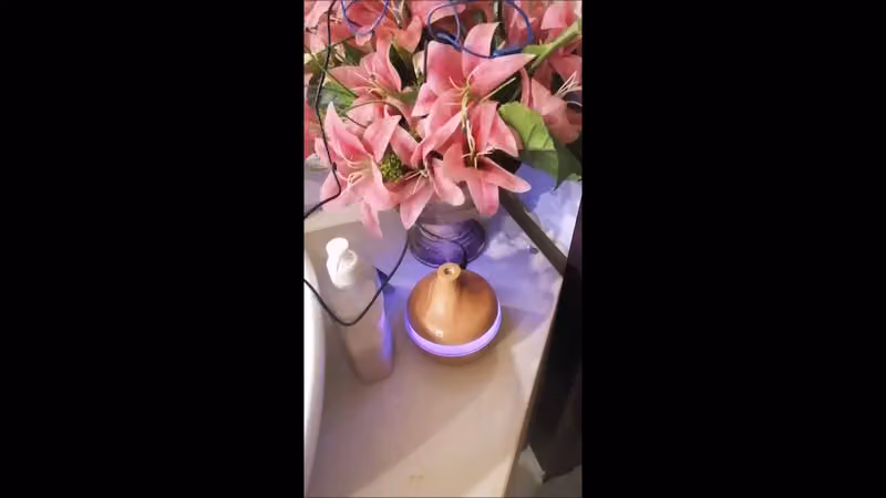 متجر فاترينه