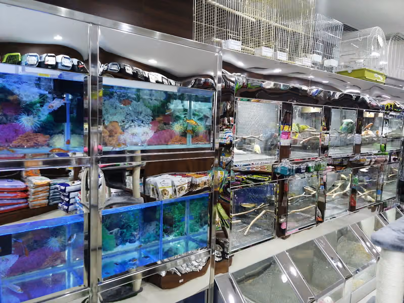 متجر وقت الحيوانات الأليفة – السليمانية | Pets Times – Al Sulaymaniyah