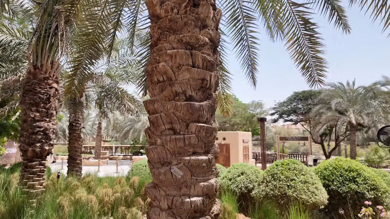 مطل البجيري