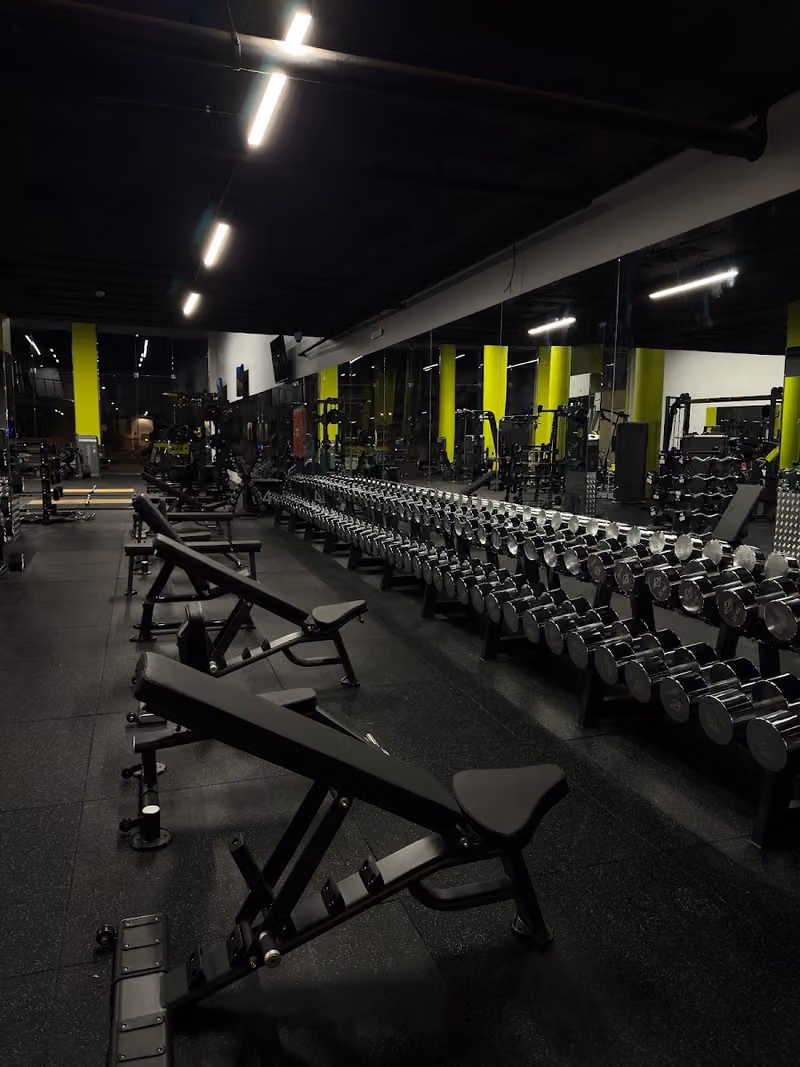 Muscles Factory