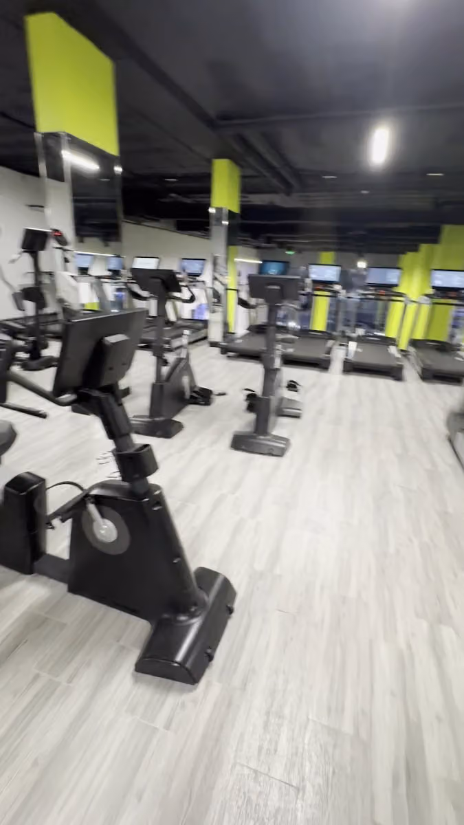 Muscles Factory