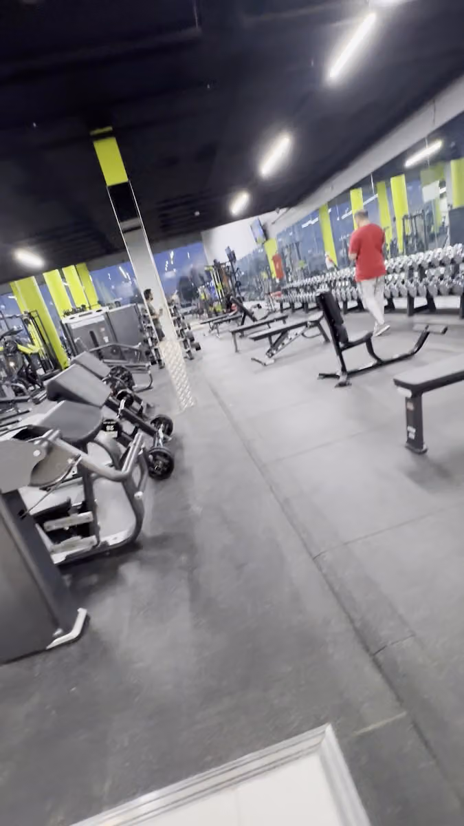 Muscles Factory