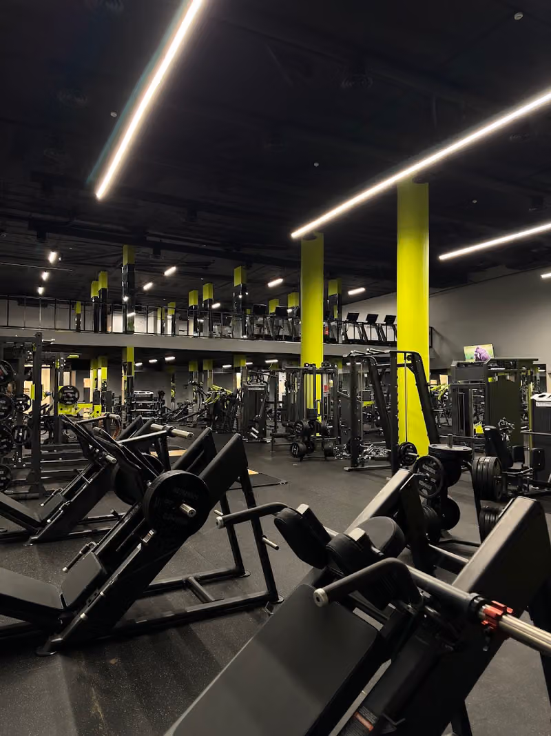 Muscles Factory