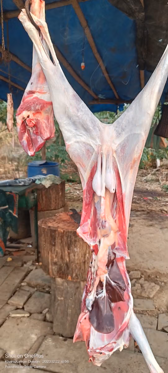 Mutton Shop