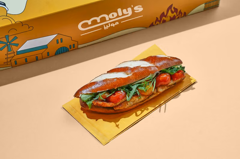 موليزا MOLYZA