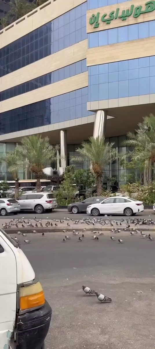 مؤسسة عبدالسلام العنزي لتنظيم الرحلات